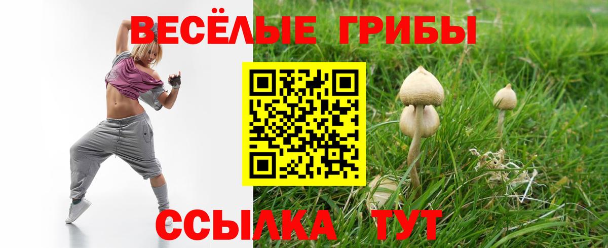 Галлюциногенные грибы ЛСД  Вход с VPN  Ступино 